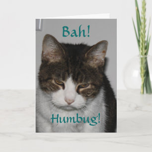 Cartão De Festividades Bah! Humbug! - Cat's Holiday Greeting Card
