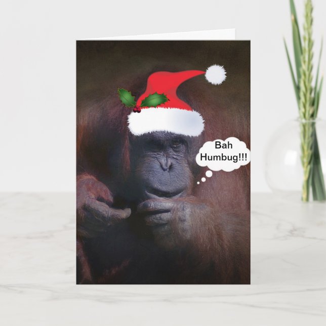 CARTÃO DE FESTIVIDADES BAH HUMBUG!!!WITH A HOLLY SPRIG CHRISTMAS CARD (Frente)