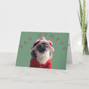 Cartão De Festividades "Bah Humpug" Engraçado Pug Papai Noel
