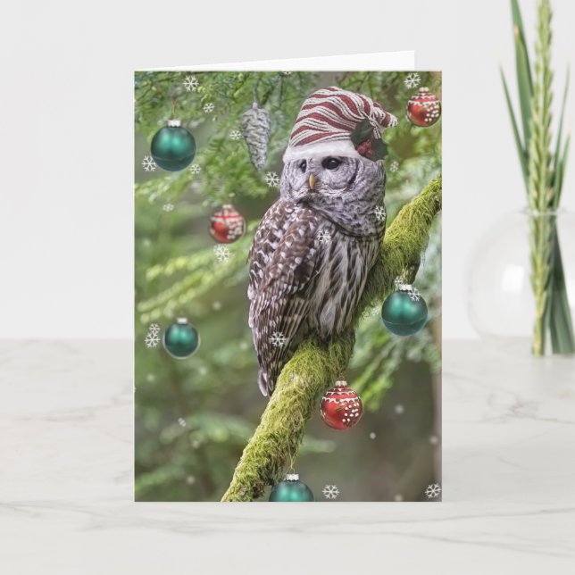 Cartão De Festividades Barred Owl Christmas (Frente)