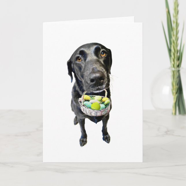 Cartão De Festividades Basket Case (Frente)