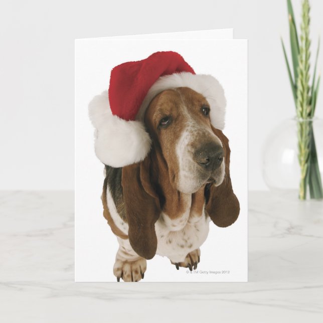 Cartão De Festividades Basset Hound in Santa Hat (Frente)