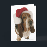 Cartão De Festividades Basset Hound in Santa Hat<br><div class="desc">Animals->Dog

 Basset Hounds for Christmas. Christmas Celebration.  Dog lovers.</div>