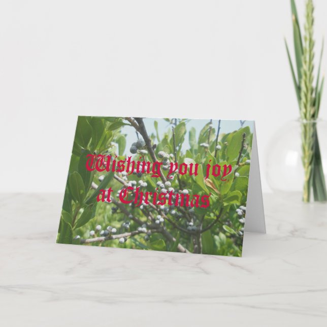 Cartão De Festividades Bayberry Christmas Card (Frente)