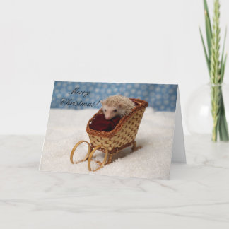 Cartão De Festividades BB238777, MerryChristmas!