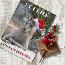 Be Chill It’s Christmas Kangaroo