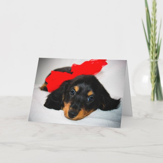 Cartão De Festividades Be Mine-Dachshund puppy valentine's day card (Frente)