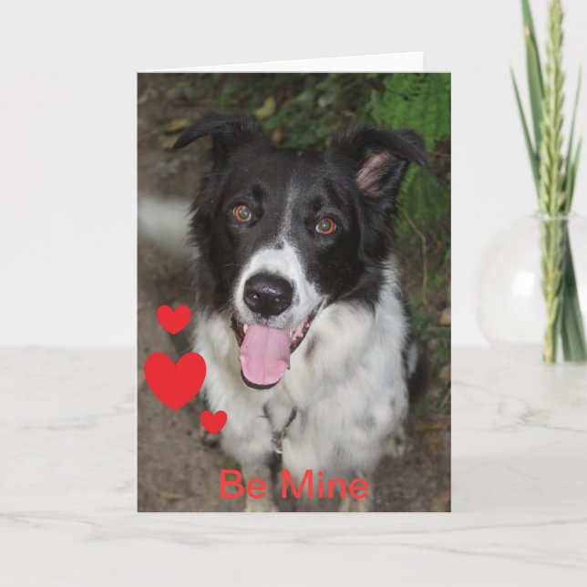 Cartão De Festividades Be Mine Valentine from the Border Collie Dog (Frente)