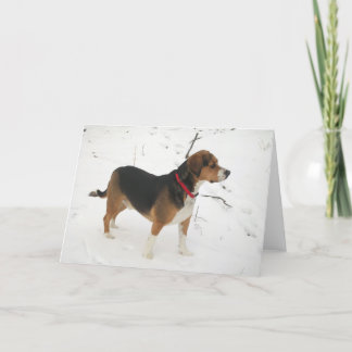 Cartão De Festividades Beagle Hound Hunting In Snow Greeting Card Cooper