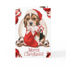 Beagle Puppy Natal