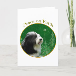 Cartão De Festividades Bearded Collie Peace