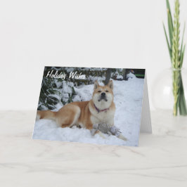 Cartão De Festividades beautiful akita dog resting in the snow christmas