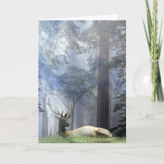 Cartão De Festividades Beautiful Bull Elk in the Forest Season's Greeting (Frente)