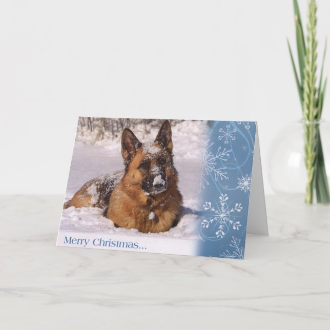 Cartão De Festividades Beautiful  German Shepherd Dog in snow (Frente)