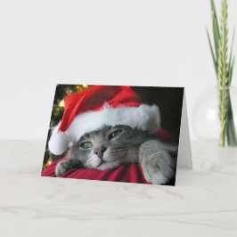 Cartão De Festividades Beautiful Grey Christmas kitty cat