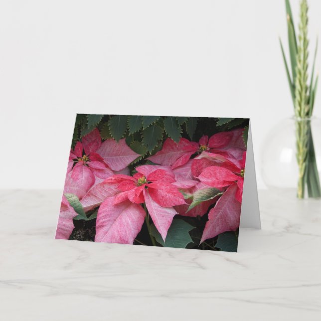 Cartão De Festividades Beautiful Poinsettias Photo Christmas Card (Frente)