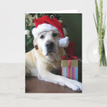 Cartão De Festividades Beautiful Yellow Labrador Santa<br><div class="desc">Merry Christmas from the dog</div>