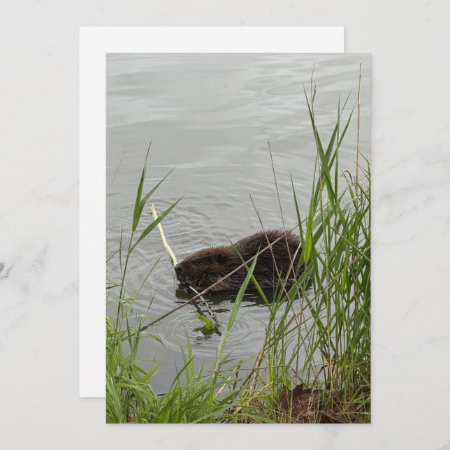 Cartão De Festividades Beaver Ocupado (Frente/Verso)