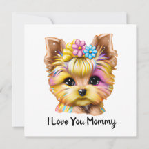 Bebê-Yorkie bonito e adorável