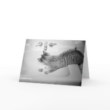 Bebendo de Gato de um Retro de Faucet do Dissipado