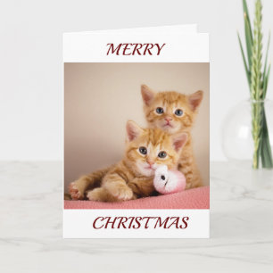 CARTÃO DE FESTIVIDADES BEBÊS DE GATO APARECEM PARA DIZER *FELIZ NATAL*