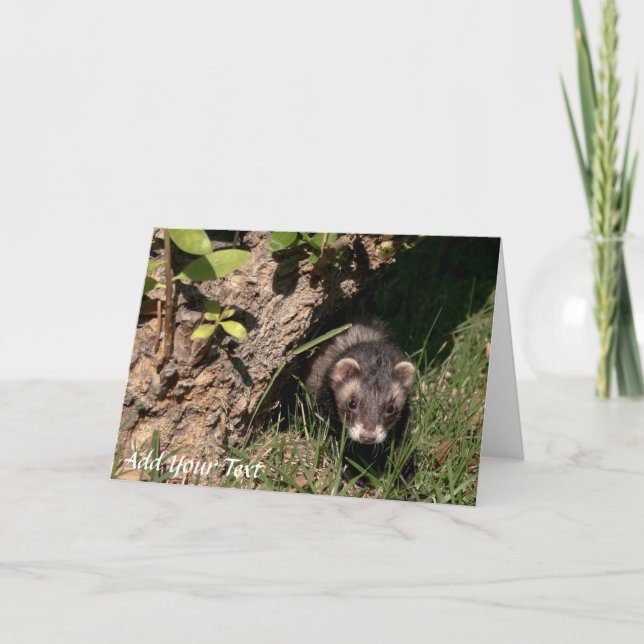 Cartão De Festividades Bebês de pele. Liberar Furões (Frente)