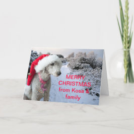 Cartão De Festividades Bedlington terrier Christmas card