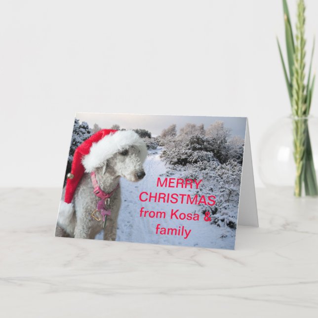 Cartão De Festividades Bedlington terrier Christmas card (Frente)
