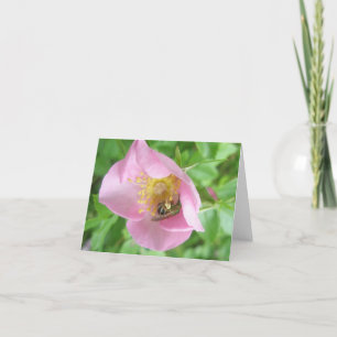 Cartão De Festividades Beefly in Rosa Note Card