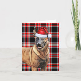 Cartão De Festividades Belga Malinois Natal Cachorro Vermelho Natal Natal