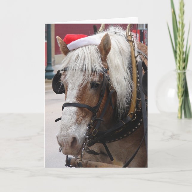 Cartão De Festividades Belgian Draft Horse Christmas (Frente)