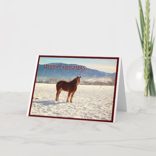 Cartão De Festividades Belgium Draft Horse Christmas Greeting Card (Frente)
