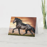 Belo Cavalo Negro