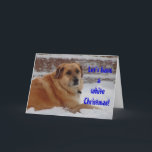 Cartão De Festividades Belo Sonho de Neve Branca de Natal<br><div class="desc">Cartões de natal simples pode ser personalizado para religioso ou secular. Um cartão branco humorístico de Natal com fonte coberta de neve e gelo. Foto de um cão rancho bonito que recupera o ouro amando a neve profunda. Tijolos coloridos à ferrugem atrás dele parecem camadas de bolo e gelo. Personalizável....</div>