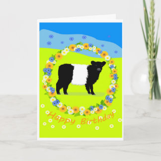 Cartão De Festividades Belted Galloway calf birthday card