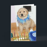 Cartão De Festividades Bênçãos do ouro Retriever Puppy Chanucá<br><div class="desc">Esta placa de Chanucá apresenta um filhote de recuperador de ouros vestindo uma decoração de pescoço azul e sentada ao lado de uma menorah e dois sonhos. O texto diz: "Espero que o seu Chanucá esteja cheio de bênçãos inesperadas!".</div>