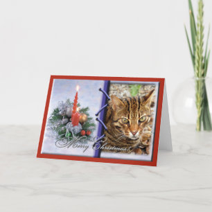 Cartão De Festividades Bengal Cat Christmas Greeting Card