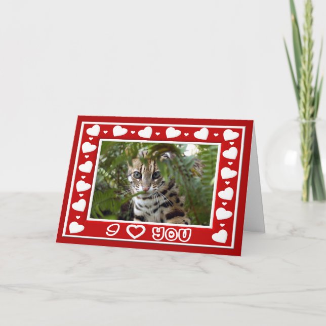Cartão De Festividades Bengal Cat Valentine Greeting Card & Note Card (Frente)