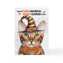 Bengal Halloween Cat PURRolinterm anormal