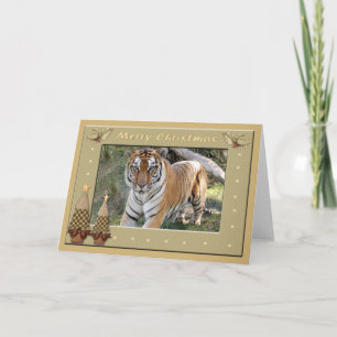 Cartão De Festividades Bengal Tiger Christmas Greeting Card