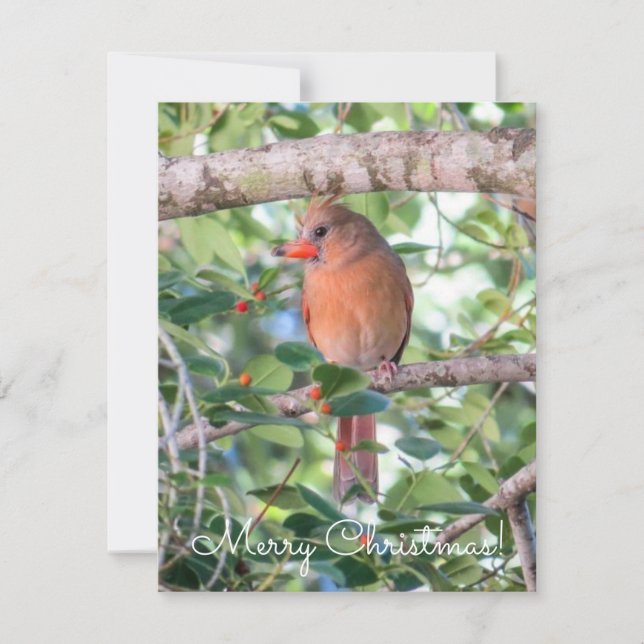 Cartão De Festividades Bernadette Christmas (Frente)