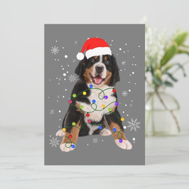 Cartão De Festividades Bernese Mountain Dog Ilumina Fama de Natal (Em pé/Frente)