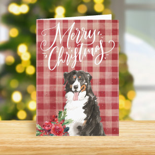 Cartão De Festividades Bernese Mountain Dog Red Xadrez Natal