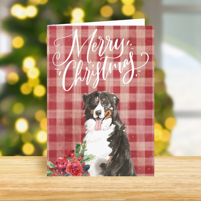 Cartão De Festividades Bernese Mountain Dog Red Xadrez Natal (Criador carregado)
