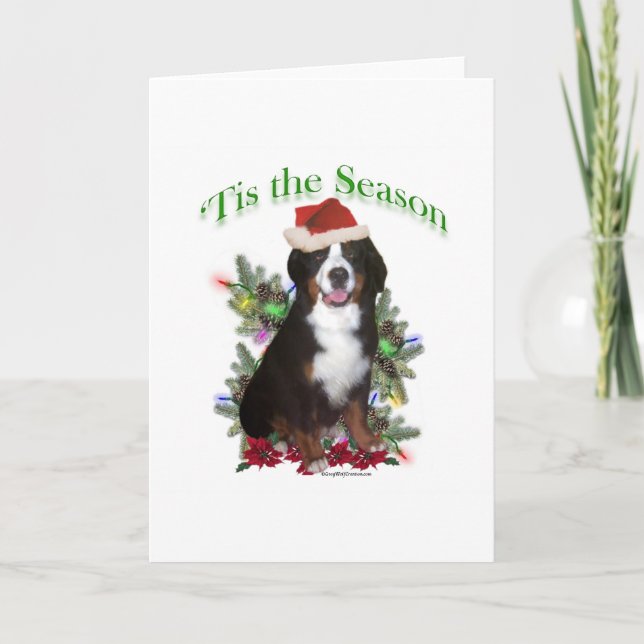 Cartão De Festividades Bernese Mountain Dog "Tis (Frente)