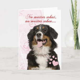 Cartão De Festividades Bernese Mountain Dog Valentine