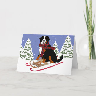 Cartão De Festividades Bernese Mt Dog Sled
