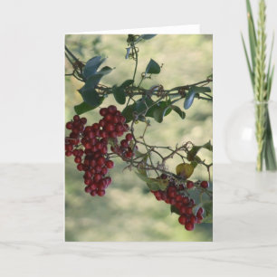 Cartão De Festividades Berry Card