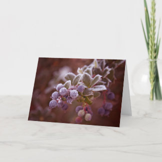 Cartão De Festividades Berry Christmas