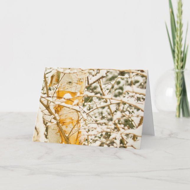 Cartão De Festividades Bétula Nevada (Frente)